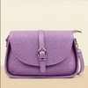 Crossbody bag for ladies with shoulder strapes Shoulder Bag ZTS-CR-101